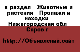  в раздел : Животные и растения » Пропажи и находки . Нижегородская обл.,Саров г.